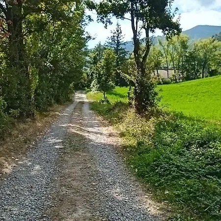 Bilocale Gran Chalet Appartamento